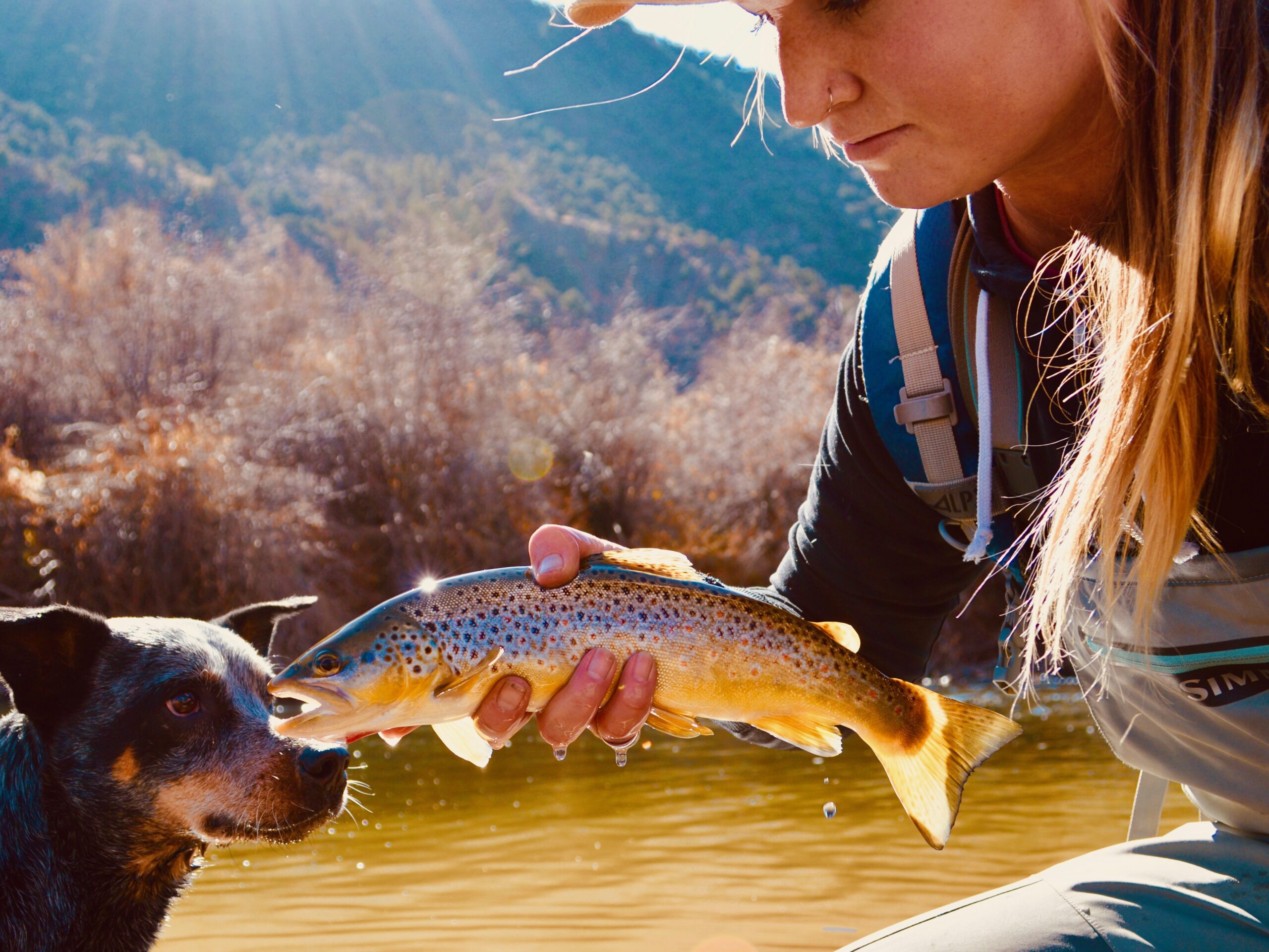 Fly Fishing Camping Trips